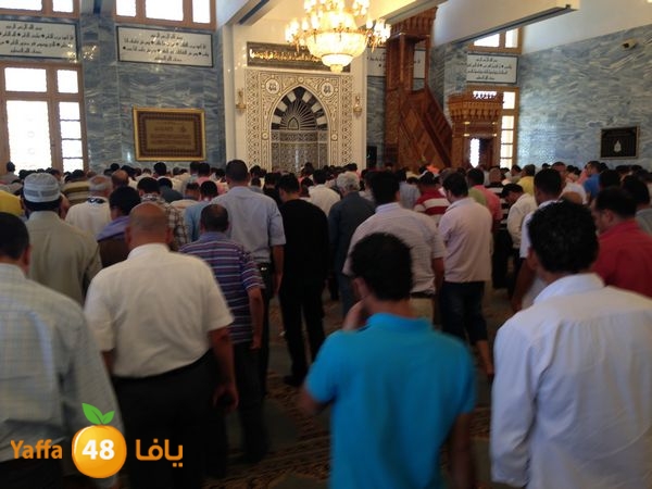 sharmelskhe7 (38).JPG